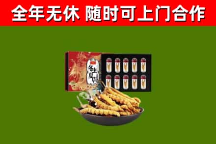 奎文区回收冬虫夏草价格